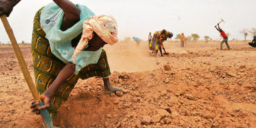 Quels financements pour l’Afrique face au changement climatique ?