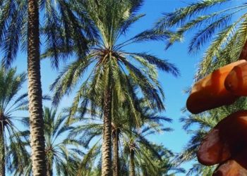 Développée en partenariat avec la GIZ, “La Route culinaire” sera la nouvelle offre touristique