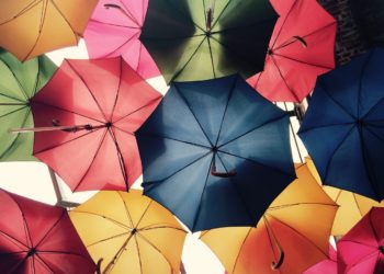 Le secteur des assurances marque encore des points