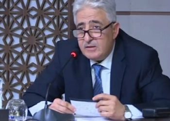 Qui est Imed Memmich, le nouveau ministre de la Défense ?