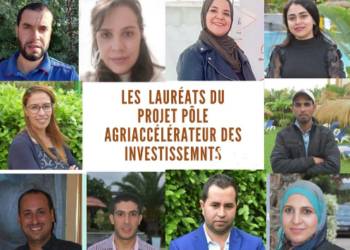 APIA : annonce des lauréats du Pôle agri-accélérateur, gagnants d’un prix de 8 000 dt