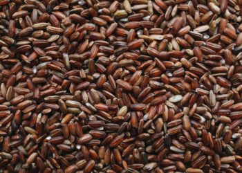 25% des Tunisiens se trouvaient dans un état d’insécurité alimentaire modérée à grave