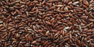 25% des Tunisiens se trouvaient dans un état d’insécurité alimentaire modérée à grave