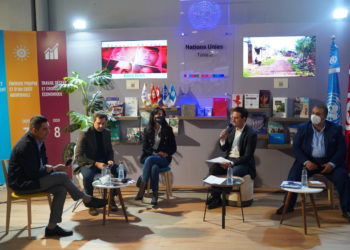 L’OIT consacre 100 millions de dollars pour ses projets en Tunisie