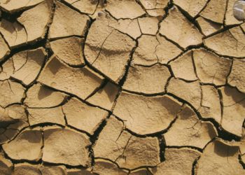 L’Égypte accueillera la conférence internationale sur le climat COP27 en 2022