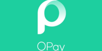 Afridigest : cinq licornes africaines ont fait une montée en flèche en 2021