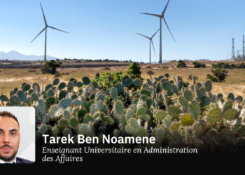 Pour 1 million d’entrepreneurs verts en Tunisie