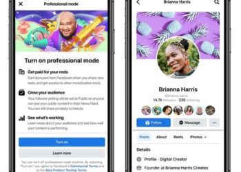 Facebook introduit les “profils professionnels”