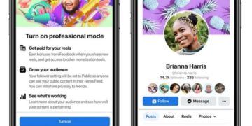 Facebook introduit les “profils professionnels”