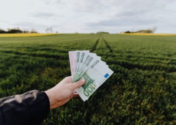 La loi de finances 2022 encourage l’économie verte