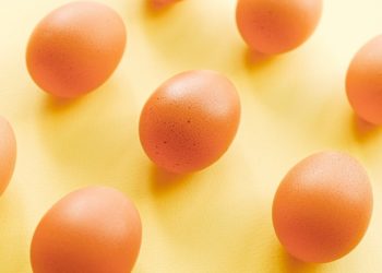 Baisse de 5,5% de la production d’œufs destinés à la consommation en 2021