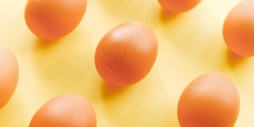 Baisse de 5,5% de la production d’œufs destinés à la consommation en 2021