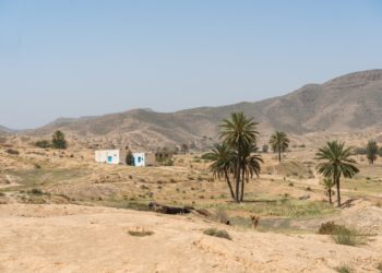 Entre 2016 et 2020, la moyenne des investissements publics réalisés par personne a atteint les 1 374 dinars