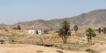 Entre 2016 et 2020, la moyenne des investissements publics réalisés par personne a atteint les 1 374 dinars