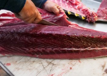 Mehdi Douss acquiert SMT Suarl pour plus de 2 millions de dinars