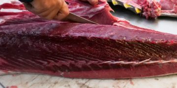 Mehdi Douss acquiert SMT Suarl pour plus de 2 millions de dinars