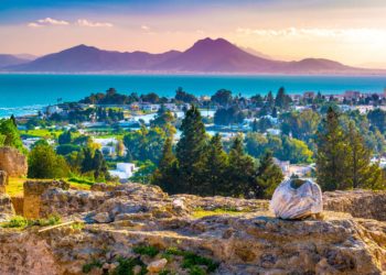 Immobilier: les prix des appartements à Carthage sont en baisse, ceux des Jardins de Carthage à la hausse