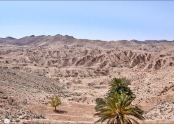 Bientôt un guide en anglais sur le tourisme durable, l’écotourisme et les lieux insolites tunisiens