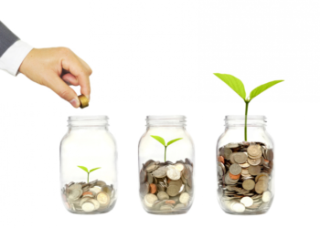 Report de l’application du décret-loi sur l’organisation de l’activité des institutions de microfinance à fin décembre 2023