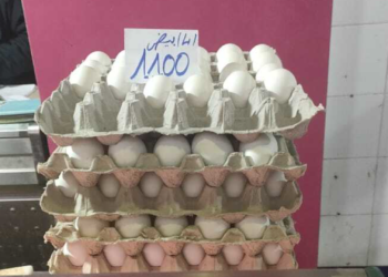 Les prix des oeufs et du poulet flambent : pourquoi ?