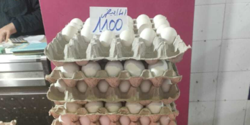 Les prix des oeufs et du poulet flambent : pourquoi ?