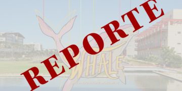 Whale Festival annonce son report de date au mois de juin 2022