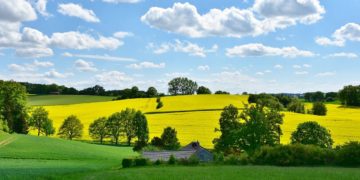 Lancement prochain en Tunisie d’un nouveau fonds d’investissement, le GreenWorks Fund for just Transition