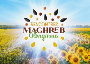 Rencontres Maghreb Oléagineux : la 1ère édition met l’accent sur le développement du secteur
