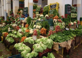 La Sotumag réalise des bénéfices records dépassant, pour la première fois, la barre des 5 MTND