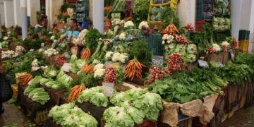 La Sotumag réalise des bénéfices records dépassant, pour la première fois, la barre des 5 MTND