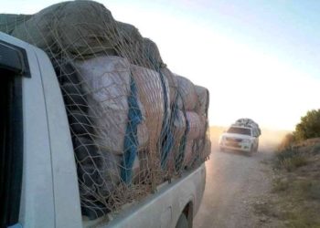 Le tiers des dépenses de compensation est usurpé par la contrebande