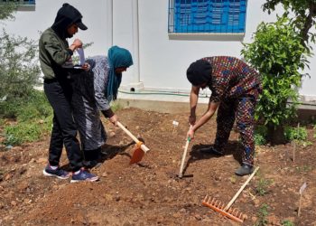 Les 5 projets financés en 2022 par l’ambassade de Suisse en Tunisie