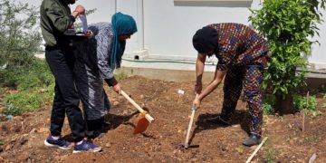 Les 5 projets financés en 2022 par l’ambassade de Suisse en Tunisie