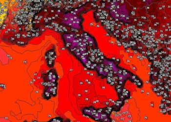 47,5°C à Béja : le réchauffement climatique frappe la Tunisie de plein fouet