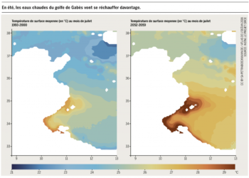 GIEC : 5 milliards USD de pertes économiques en Méditerranée