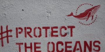 Voici comment optimiser l’usage des #hashtags sur Facebook