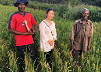 Vers la TICAD8 : aider l’Afrique à s’adapter au changement climatique