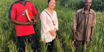 Vers la TICAD8 : aider l’Afrique à s’adapter au changement climatique
