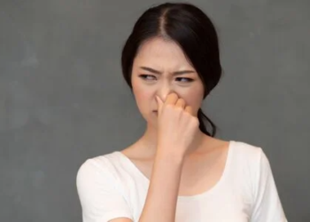 Djerba, une charmante île qui pue