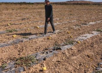 Onagri : 36,6% de remplissage des barrages le 16 août