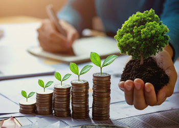 Des banques « nature positive », la nouvelle tendance de la finance mondiale