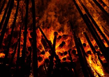 GIEC : le réchauffement climatique dépasse les capacités d’adaptation des êtres vivants