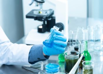 Les chercheurs tunisiens ont peur de l’entrepreneuriat, selon une experte tunisienne