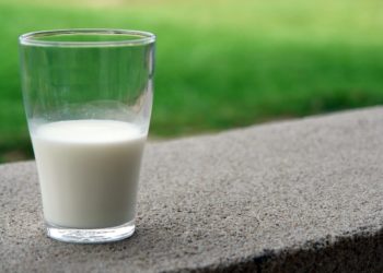 Crise des produits laitiers : La CONECT prévient contre l’obligation d’importer du lait dans les prochains mois