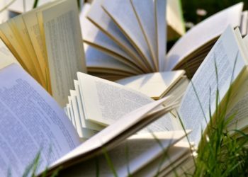 Top 5 des romans de la rentrée littéraire automnale