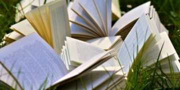 Top 5 des romans de la rentrée littéraire automnale