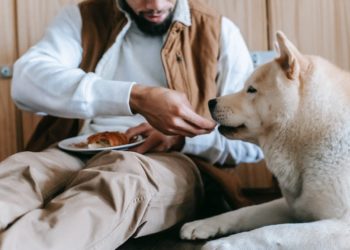 Parfums et alimentation animale importés : les chiffres