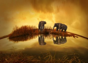 L’inspirante reconversion d’un ancien président américain