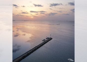 Une startup tunisienne gère sa plateforme de tourisme durable