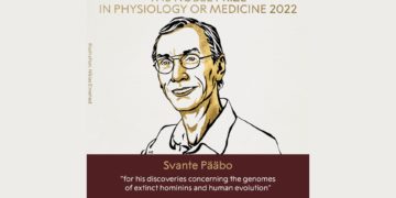 Un Suédois remporte le prix Nobel de médecine 2022